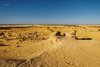 AUS - Pinnacles Desert o3096